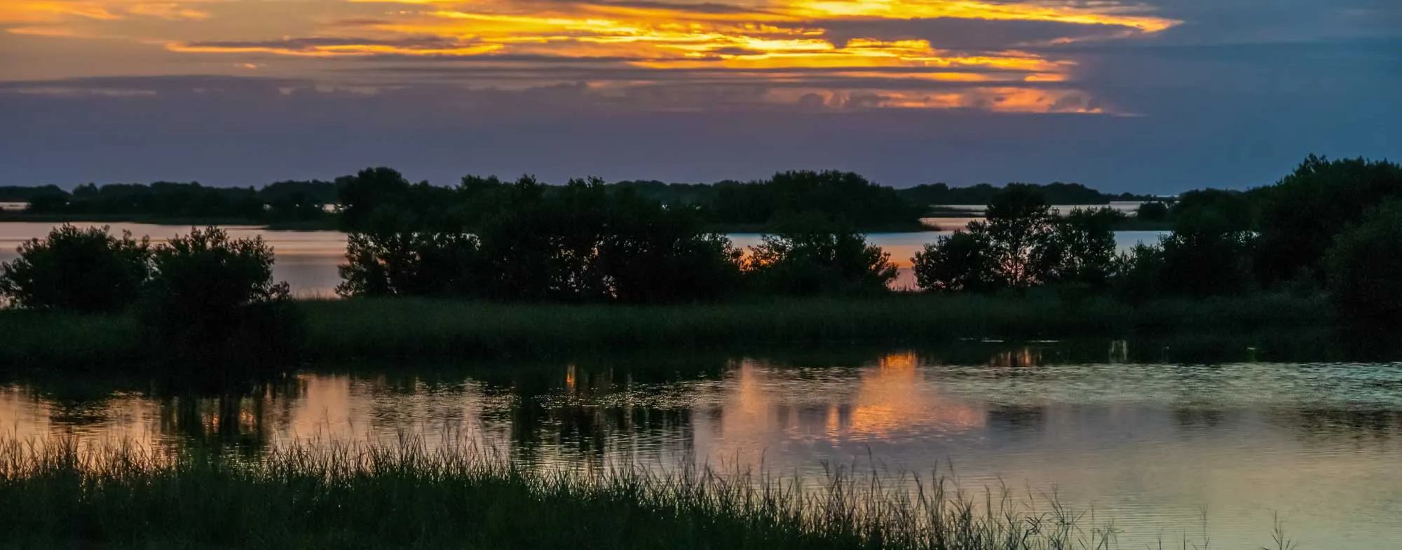 Beautiful Sunset Over the Swamp in Louisiana, the Reflection of Clouds in the Water